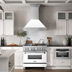 ZLINE 36 Inch DuraSnow® Stainless Steel Range Hood with White Matte Shell, 8654SNX-WM36