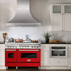 ZLINE 48 Inch 6.0 cu. ft. Range with Gas Stove and Gas Oven in Stainless Steel and Red Gloss Door, RG-RG-48