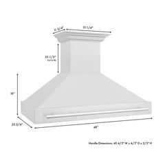 ZLINE 48 Inch DuraSnow® Stainless Steel Range Hood, 8654SNX-48