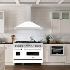 ZLINE 48 Inch DuraSnow® Stainless Steel Range Hood with White Matte Shell and Stainless Steel Handle, KB4SNX-WM-48