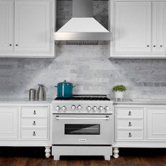 ZLINE 36 in. Kitchen Package with DuraSnow® Stainless Steel Gas Range, Ducted Range Hood and Dishwasher, 3KP-RGSRH36-DW